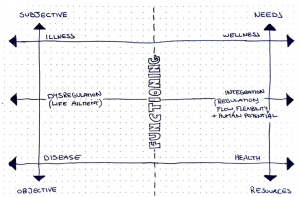 Figure One - Holistic Wellbeing