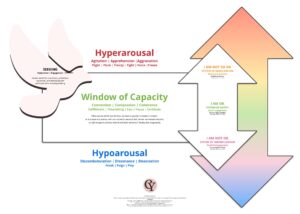 Window of Capacity